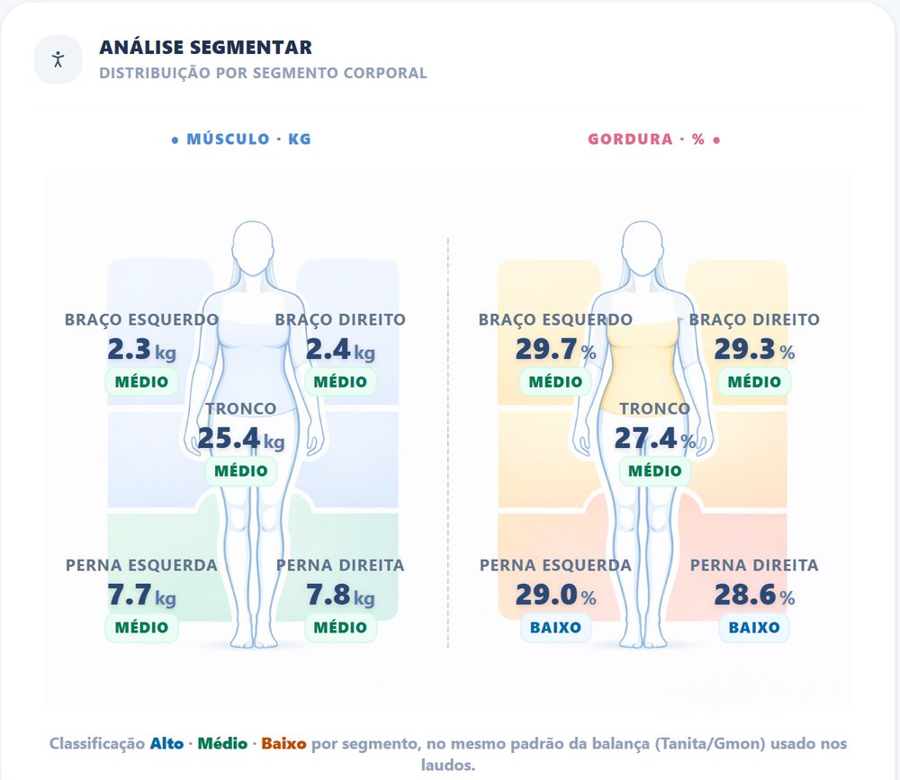 Tela do EvoluBio com a análise segmentar de músculo e gordura por braços, pernas e tronco